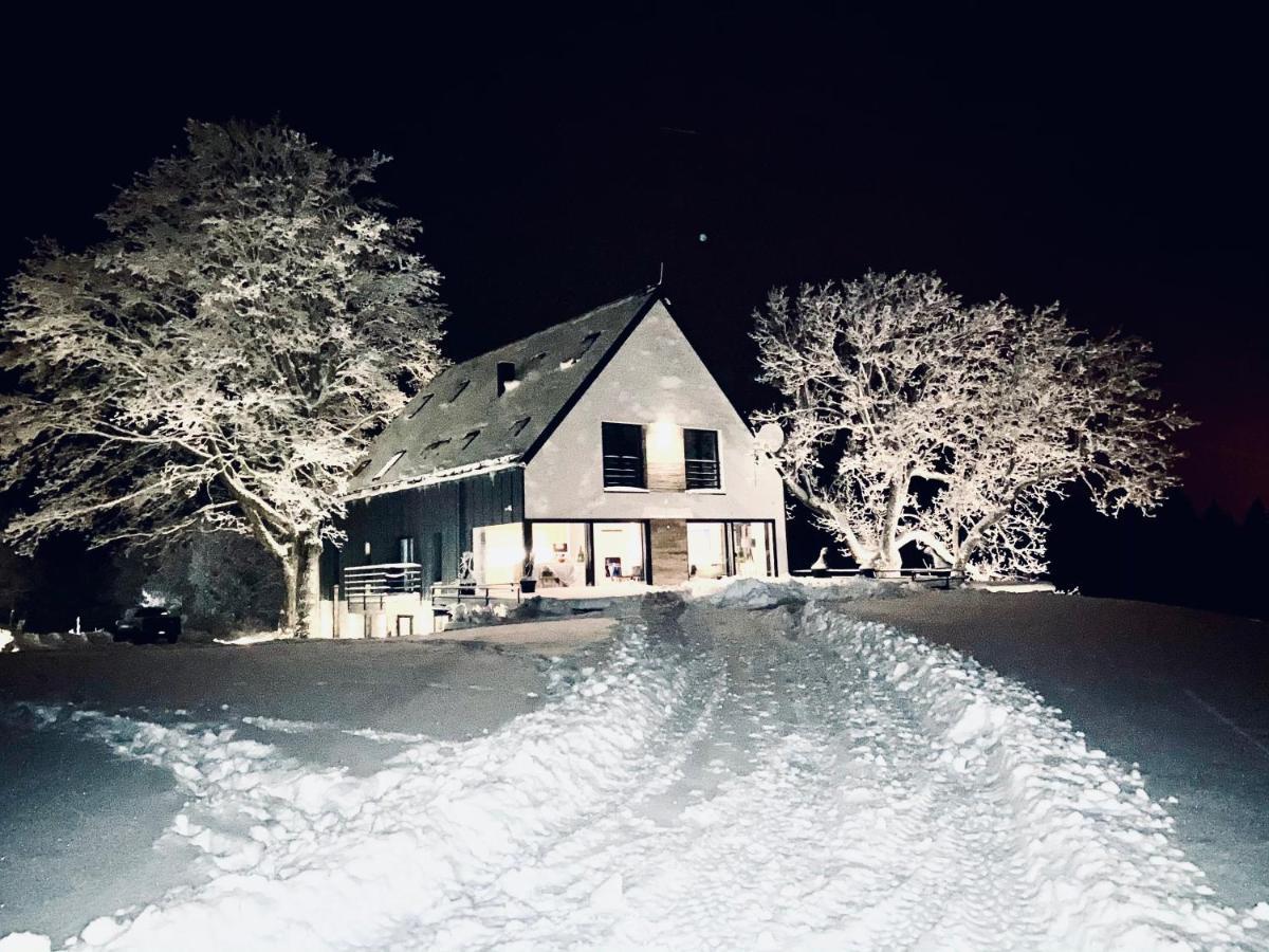 Apartamenty Innwersja Duszniki Zdrój Extérieur photo